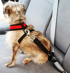 Copy of Copy of Doggie Seatbelt  - Harness not included